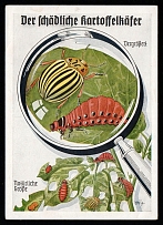 1933-1945 'The harmful potato beetle', Propaganda Postcard, Third Reich Nazi Germany