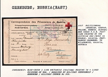 1917 Multilingual (Russian, German, Polish, French, Slovak) Red Cross P.O.W. Postcard printed by the Austrian Red Cross in Krakau, Galacia, postmarked Orenburg, to Wilamowice, Galacia, Austria. ORENBURG