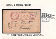 1917 Bilingual (Russian, French) P.O.W. Postcard from Borisovky,  Akmolinsk to Chrzanow, Galacia, Austria. OMSK Censorship: violet-red 3 line circle (32 mm) reading, outside to centre