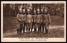 1914 Poland, The Polish Legion in the European War, Cinderella, Postcard (Mint)