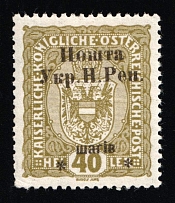 1919 40sh Stanislav, West Ukrainian People's Republic, Ukraine (Kramarenko 19, CV $25)