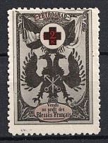 1915 France-Russia WWI ROSSICA Petrograd Russian Eagle Red Cross Delandre propaganda vignette