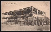 Aral Sea 'Fish Barns' Thematic Russian Empire postcard